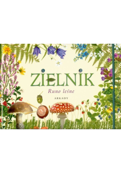 Zielnik Runo leśne