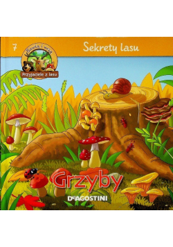 Sekrety Lasu  7 Grzyby