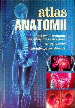 Atlas anatomii