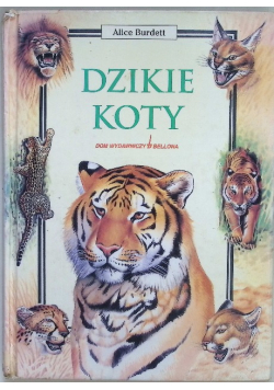 Dzikie koty