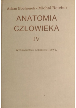Anatomia człowieka IV