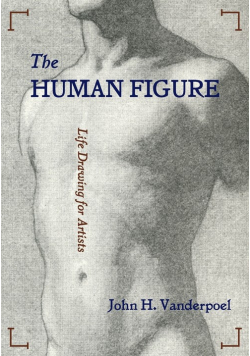 The Human Figure
