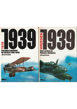 Siły Lotnicze Polski i Niemiec / Polskie Eskadry w Latach 1918 - 1939