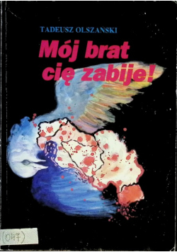 Mój brat cię zabije O wojnie w Jugosławii