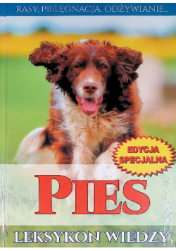 Pies leksykon wiedzy