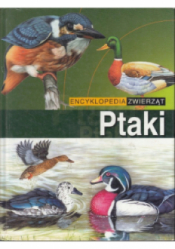 Encyklopedia Zwierząt Ptaki