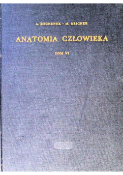 Anatomia człowieka Tom VI