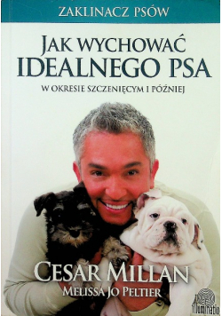 Jak wychować idealnego psa