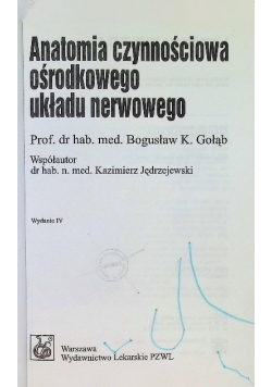 Anatomia czynnościowa ośrodkowego układu nerwowego
