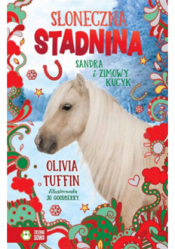 Sandra i zimowy kucyk. Słoneczna Stadnina