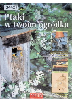 Ptaki w twoim ogródku
