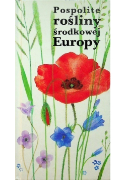 Pospolite rośliny środkowej Europy