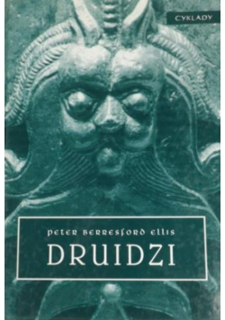 Druidzi