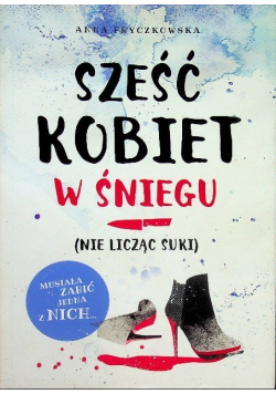 Sześć kobiet w śniegu ( nie licząc suki )