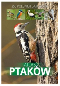 Atlas ptaków