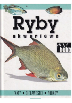 Ryby akwariowe Fakty Ciekawostki Porady akwarium