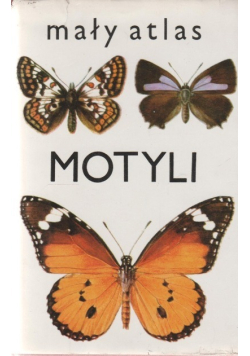 Mały atlas motyli