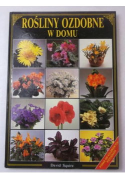 Rośliny ozdobne w domu