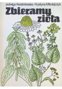 Zbieramy zioła