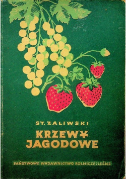 Krzewy jagodowe