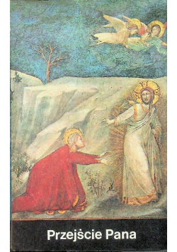 Przejście Pana