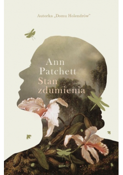Stan zdumienia