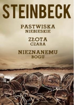 Pastwiska niebieskie Złota czara Nieznanemu bogu