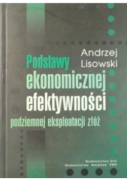 Podstawy ekonomicznej efektywności podziemnej