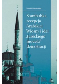 Stambulska recepcja Arabskiej Wiosny i idei tureckiego modelu demokracji