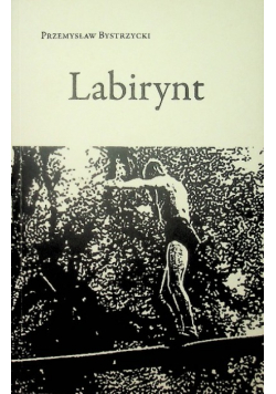 Labirynt
