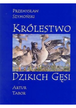 Królestwo Dzikich Gęsi