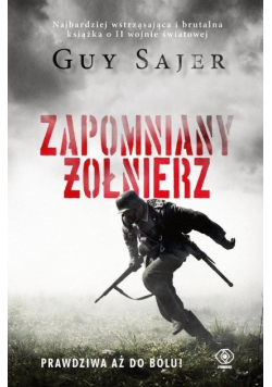 Zapomniany żołnierz