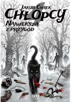 Chłopcy Największa z przygód