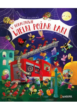 W Robaczkowie Wielki pożar łąki