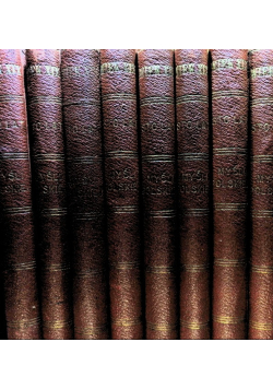 Wiek XIX Sto Lat Myśli Polskiej Tom 1 do 8 1913 r