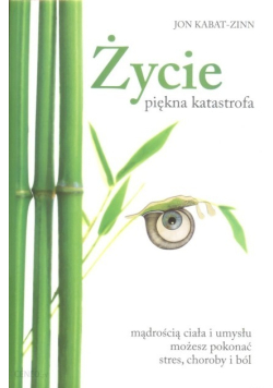 Życie  piękna katastrofa