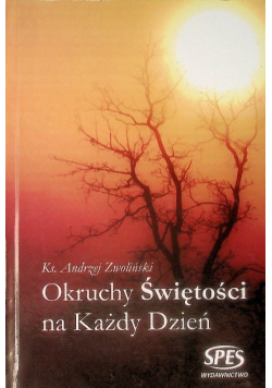 Okruchy Świętości na każdy dzień