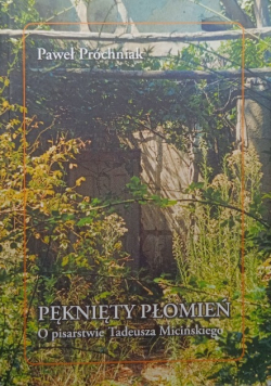 Pęknięty płomień