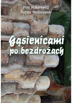 Gąsienicami po bezdrożach