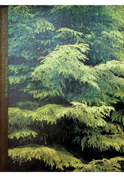 The Music of the Russian Forest