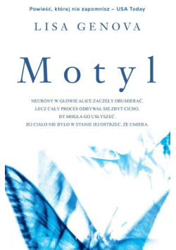 Motyl