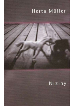Niziny