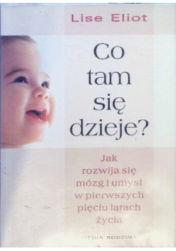 Co tam się dzieje?