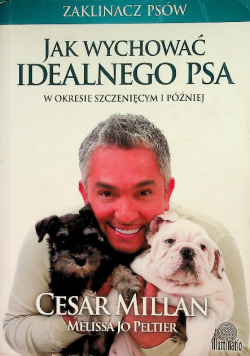 Jak wychować idealnego psa