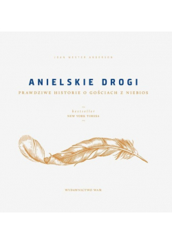 Anielskie drogi Prawdziwe historie o gościach z niebios