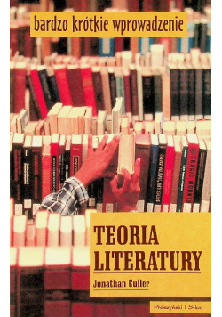 Teoria literatury