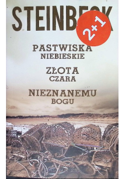 Pastwiska niebieskie Złota czara Nieznanemu bogu