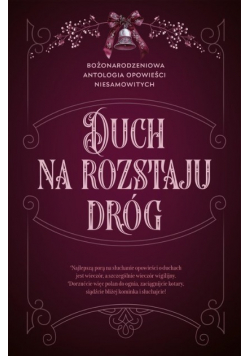 Duch na rozstaju dróg. Bożonarodzeniowa antologia opowieści niesamowitych