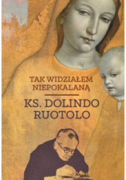Tak widziałem Niepokalaną