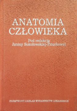 Anatomia człowieka